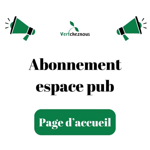 Abonnement publicitaire - Page d'accueil