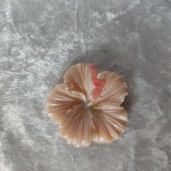 Petite fleur
